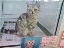 在庫商品（長期店番中）