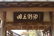 旧近衛邸の春告草