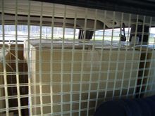 実用に大活躍のMBワゴン