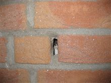 ミュウ君の所業。