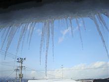 ２月２２日　ぼんだら成長中ｗ、おはです～♪