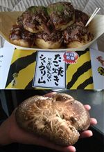 少々（*&#180;ｪ`*)ﾎﾟｯｗｗ 復活？！