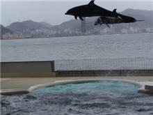 海響館