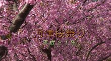 ２版　河津桜祭り－２００９