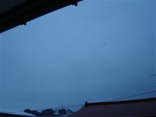 ２月２３日　小雨模様の月曜日、おはです～♪