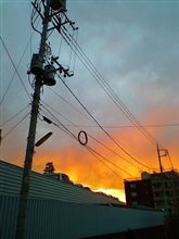 一瞬の輝き。。。(_ _。)・・・シュン