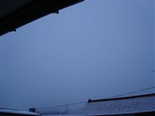 ２月２５日　週の折り返し水曜日、おはです～♪