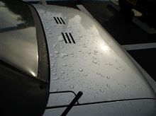 雨上がり