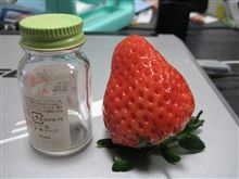 激しくプレイ（爆）