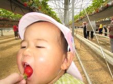 狩りもの好き