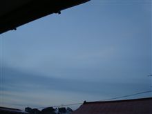 ２月２７日　やっとラス１金曜日だね、おはです～♪