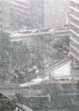 もう春が来た♪