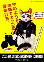 今が旬、オヤジ狩り&食べ放題 今が旬、オヤジ狩り&食べ放題