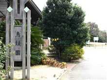 ここは東京？しかし、３週連続。その１