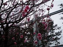燃費報告(23回目)