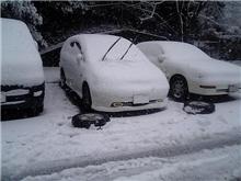 雪が積もったので・・・