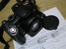 ３月ですね　お帰りカメラ