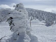 山頂の樹氷