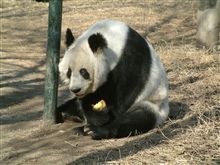 では！中国に行って参ります！ 