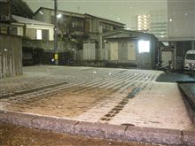 ゆ、雪だ！！