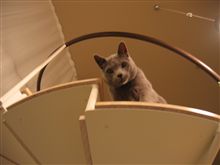 なんですか?