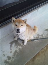 雨のそら