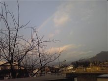 綺麗だ…