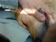身だしなみ