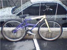 バイクトライアル