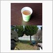 プールのお茶