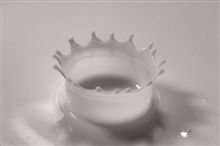 ワシ、○○信者ぢゃねぇし･･(-_-ﾒ)