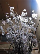 幸せのおすそ分け 幸せのおすそ分け
