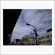 定点観測　3/11