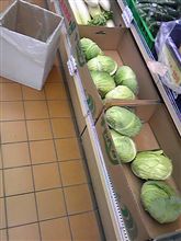 今日もさむい