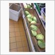 今日もさむい