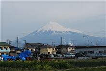 シリーズ『今日の富士山』09.03.13