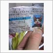 昭和の懐かしい流行もの発見！ ...