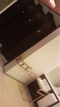 すげぇ綺麗だな
