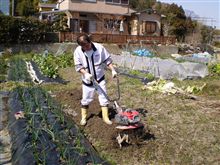 耕耘機　レンタル