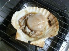 北の国から…(*＾ワ^)ノ