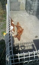 日向ぼっこ