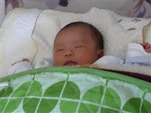 おひさしぶろぐ( &#180;△｀)ｱｧー