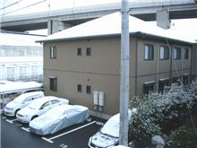 ありゃ？雪だ。