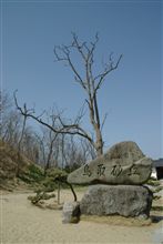 日常に戻りました（鳥取帰り）