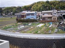 雨あがりました