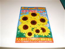 ミニひまわり　ﾐﾗｸﾙﾋﾞｰﾑ