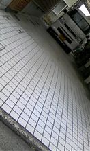 やっぱり寂し杉 やっぱり寂し杉