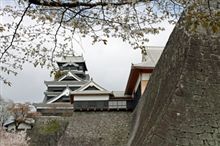 春爛漫･･･満開の桜が見たい