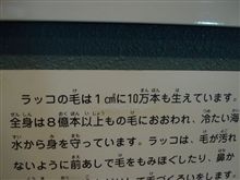 さっそくｗ