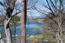 良い天気だったので 良い天気だったので